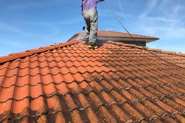 Roof Cleaning Services