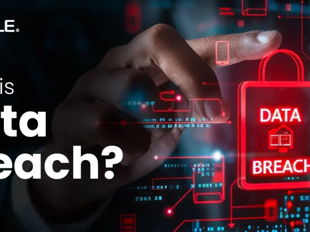 Data Breaches
