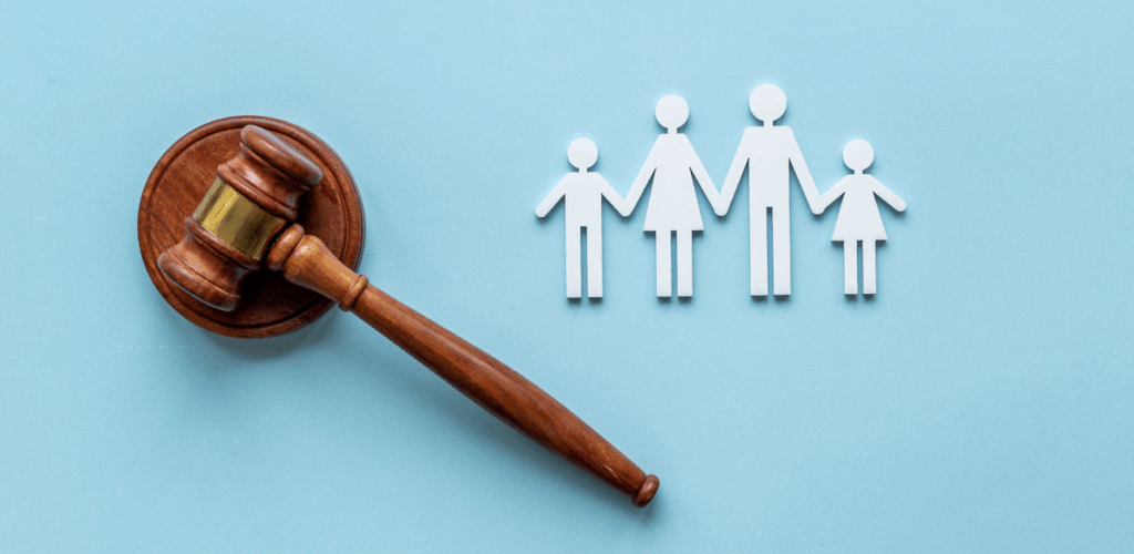 Law Firm Service